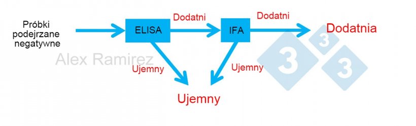 Schemat przedstawiający zastosowanie testu PRRS IFA jako testu potwierdzającego dla pr&oacute;bek, kt&oacute;re nieoczekiwanie uzyskały wynik pozytywny&nbsp;w teście PRRS ELISA. Podejrzewana pr&oacute;bka negatywna, kt&oacute;rej test ELISA jest negatywna, jest uważana za negatywną. Jeśli ta pr&oacute;bka nieoczekiwanie dała wynik pozytywny, można przeprowadzić badanie PRRS IFA jako test potwierdzający. Oznacza to, że jeśli test IFA jest pozytywny, potwierdza się, że pr&oacute;bka jest pozytywna. Jeśli test IFA jest ujemny, zakładalibyśmy, że był fałszywie dodatni, o ile PCR jest r&oacute;wnież ujemny, aby potwierdzić brak niedawnej infekcji.
